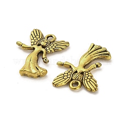 Tibetan Style Alloy Pendants&nbsp;FIND-M047-07AG