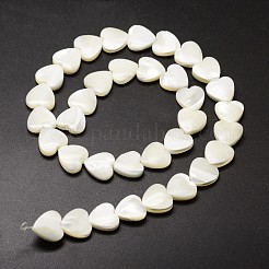 Natural Trochid Shell/Trochus Shell Beads Strands&nbsp;SSHEL-K012-01-A