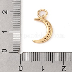 Brass Micro Pave Clear Cubic Zirconia Pendants&nbsp;ZIRC-P121-07G