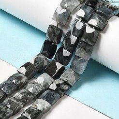 Natural Eagle Eye Stone Beads Strands&nbsp;G-G980-12