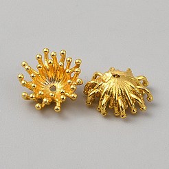 Brass Bead Caps&nbsp;KK-WH0101-063G