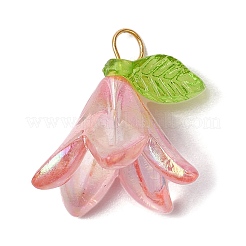 6Pcs Transparent Acrylic Pendants&nbsp;PALLOY-JF02300-01