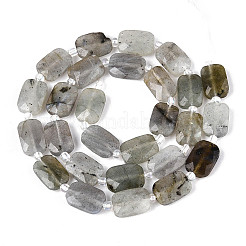 Natural Labradorite Beads Strands&nbsp;G-T139-75