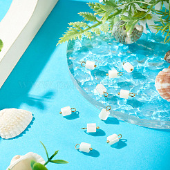 10Pcs Natural Shell Column Charms&nbsp;SHEL-TA0001-38