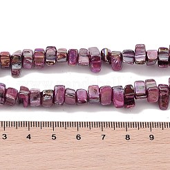 Natural Freshwater Shell Beads Strands&nbsp;BSHE-H018-07F