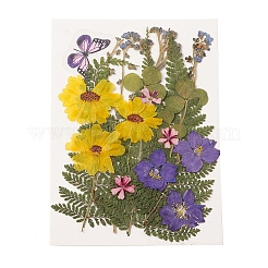 Pressed Dried Flowers&nbsp;DIY-YWC0001-97