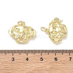 Brass Pendants&nbsp;KK-T085-20B-G