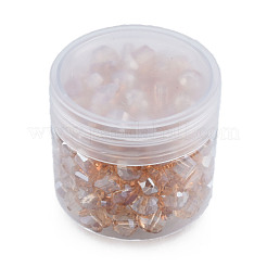Transparent Glass Beads&nbsp;EGLA-N002-49-A05