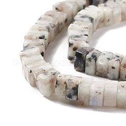 Natural Sesame Jasper/Kiwi Jasper Beads Strands&nbsp;G-K326-13