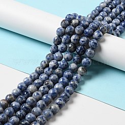 Natural Blue Spot Jasper Beads Strands&nbsp;G-P476-01D-02