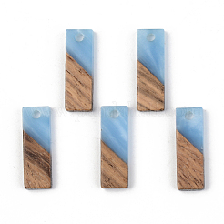 Resin & Walnut Wood Pendants&nbsp;RESI-S389-059B