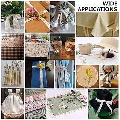 Lace Trim Nylon Ribbon&nbsp;SRIB-WH0006-26B