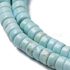 Natural Howlite Beads Strands&nbsp;G-E604-A04-C