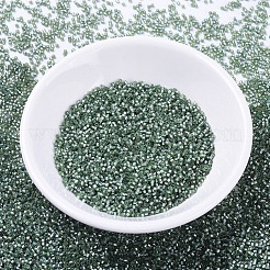 MIYUKI Delica Beads&nbsp;SEED-MY11-DB0689