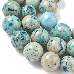 Natural Fossil Graduated Beads Strands&nbsp;G-F830-A03-01E