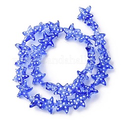 Handmade Lampwork Beads Strands&nbsp;LAMP-I027-09H