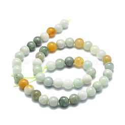 Natural Myanmar Jade Beads Strands&nbsp;G-E576-08A