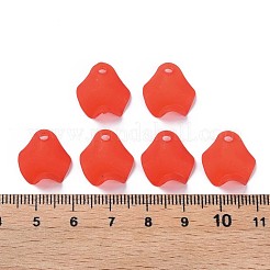 Transparent Acrylic Beads&nbsp;MACR-S373-106-D01