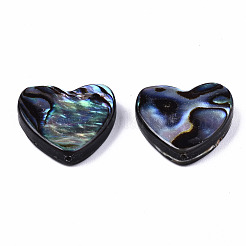 Natural Abalone Shell/Paua Shell Beads&nbsp;SSHEL-T014-16C