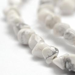 Natural Howlite Beads Strands&nbsp;G-F465-05