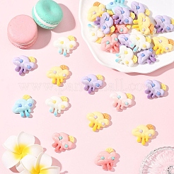 20Pcs Opaque Resin Decoden Cabochons&nbsp;CRES-YW0002-64