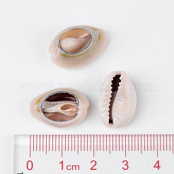 Natural Cowrie Shell Beads&nbsp;BSHE-S053