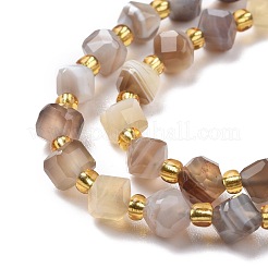 Natural Botswana Agate Beads Strands&nbsp;G-P463-08