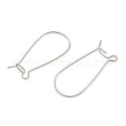 SHEGRACE Brass Kidney Ear Wire&nbsp;XGR0004P-43P