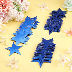 Paper Star Shape Flags&nbsp;FEPA-TAC0001-002
