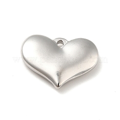 Non-Tarnish 304 Stainless Steel Pendants&nbsp;STAS-E176-01P