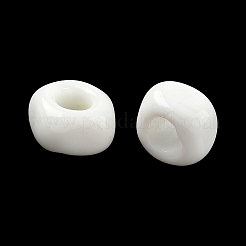 Handmade Lampwork European Beads&nbsp;LAMP-A009-03-09