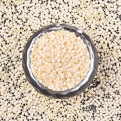 FGB 11/0 Grade A Glass Seed Beads&nbsp;SEED-S030-1012