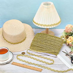 Polyester Lace Trim&nbsp;OCOR-WH0101-222A