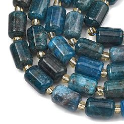 Natural Apatite Beads Strands&nbsp;G-D103-A03