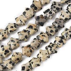 Natural Dalmatian Jasper Star Beads Strands&nbsp;G-Z080-A08