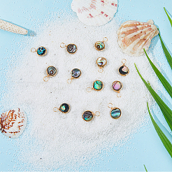12Pcs Natural Abalone Shell/Paua Shell Pendants&nbsp;SHEL-FI0001-01