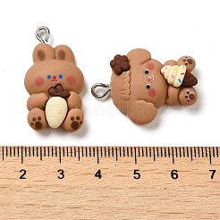 Opaque Resin Pendants&nbsp;CRES-M030-05