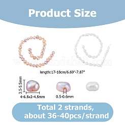 2 Strands 2 Styles Natural Cultured Freshwater Pearl Beads Strands&nbsp;PEAR-HS0001-25B