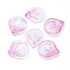 Transparent Glass Charms&nbsp;GLAA-H016-05E-10