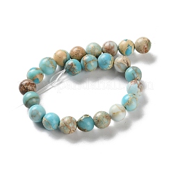Dyed Natural Regalite/Imperial Jasper/Sea Sediment Jasper Beads Strands&nbsp;X-G-B124-C01-15