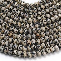 Natural Dalmatian Jasper Beads Strands&nbsp;G-Z111-A18