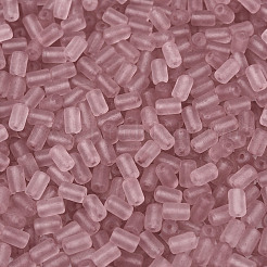 FGB Frosted Transparent Glass Seed Beads&nbsp;SEED-N013-05A-06