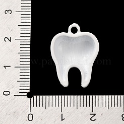 Alloy Enamel Pendants&nbsp;AL-CBA8C45-07