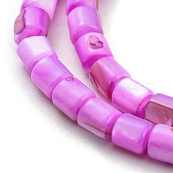 Natural Freshwater Shell Beads Strands&nbsp;SHEL-F008-04