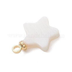 Natural Freshwater Charms&nbsp;PALLOY-JF04870