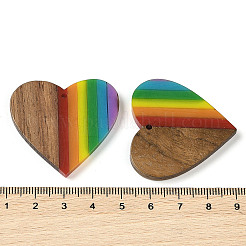 Pride Rainbow Theme Resin & Walnut Wood Pendants&nbsp;X-WOOD-K012-03