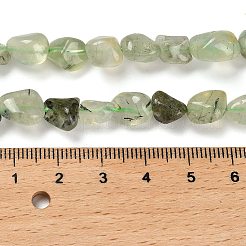 Natural Prehnite Beads Strands&nbsp;G-P497-01E-39