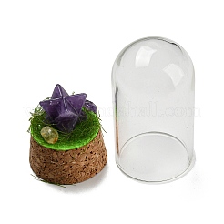 Natural Amethyst Polygon Display Decoration with Glass Dome Cloche Cover&nbsp;DJEW-B009-05I