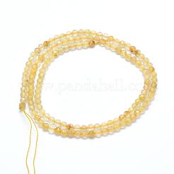 Natural Gold Rutilated Quartz Beads Strands&nbsp;G-E411-17-3mm