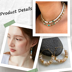 200Pcs Freshwater Shell Beads&nbsp;BSHE-SC0001-12
